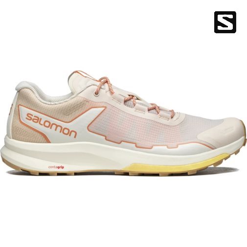 Cream Salomon Ultra Raid Men's Sneakers | PH 73298B